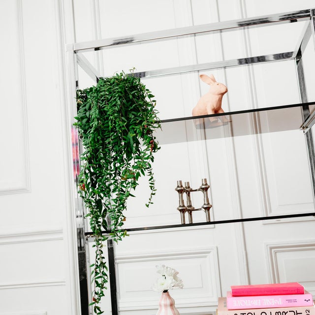 1970s Vintage Chrome Shelf, 1970s For Sale - Image 5 of 8