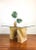 Vintage McGuire Rattan Dining Table 2 piece pedestal base made of rattan with slight twist in the design natural tone with...