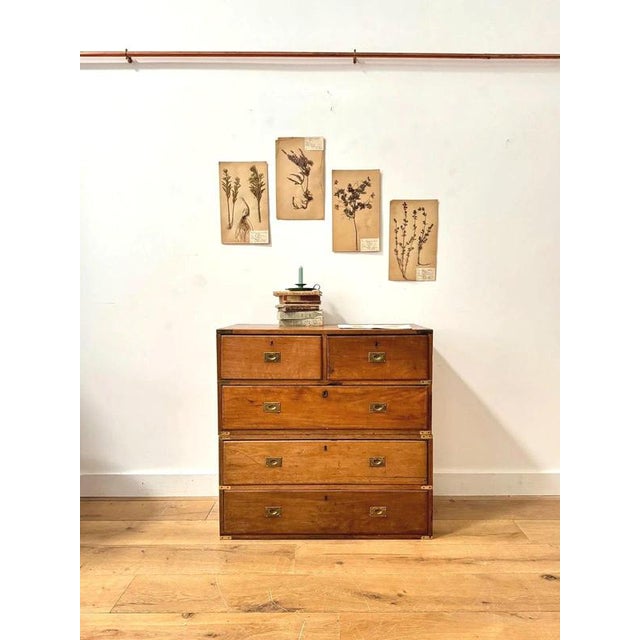 19th Century Military Campaign Chest of Drawers For Sale - Image 12 of 12