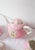 Pink Porcelain Tea Service for 11 with Medallion from Vieux, Paris, 1900s, Set of 25 For Sale - Image 12 of 14