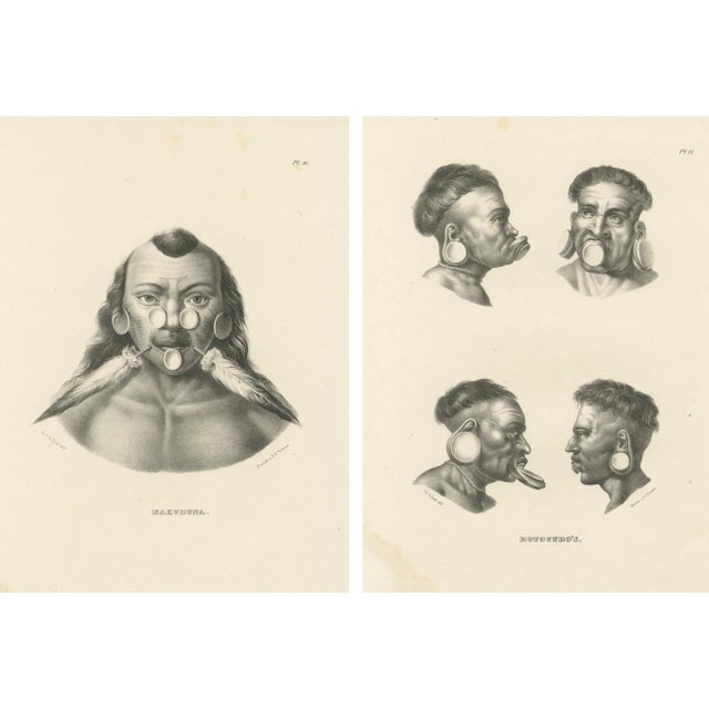 Brodtmann, Maxuruna and Botocudo Peoples, 1827, Lithographs, Set of 2 For Sale - Image 11 of 12