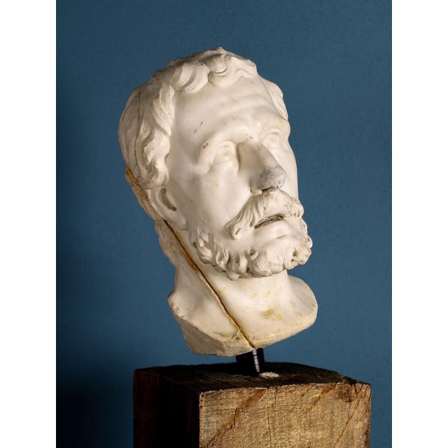 White Girolamo Ticciati, Male Head with Beard and Wavy Hair, 18th Century, Marble For Sale - Image 8 of 8
