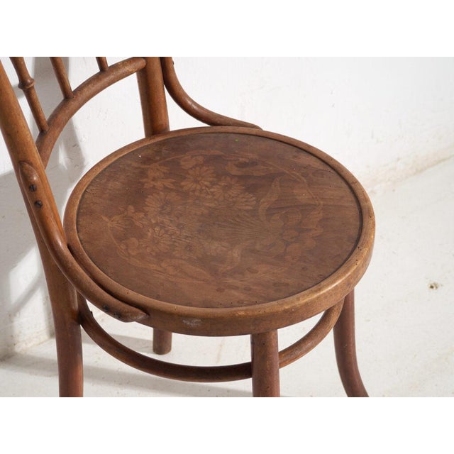 Antique Bentwood Chairs, Central Europe, 1900s, Set of 4 For Sale - Image 12 of 13