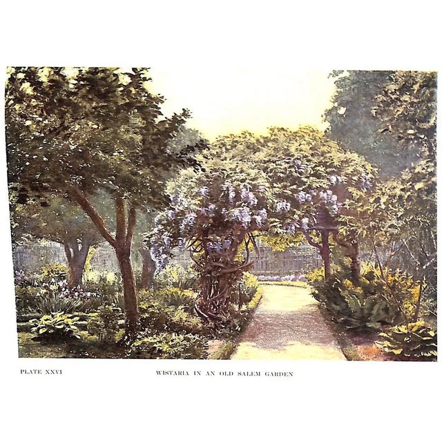 Paper "Gardens Near the Sea" 1910 Lounsberry, Alice For Sale - Image 7 of 7