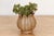 Stone 9"Dm Carved Marble Lotus Bowl For Sale - Image 7 of 7