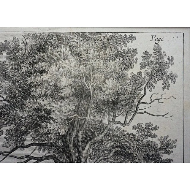 18th Century Equestrian Horsemanship Engravings Framed - A Pair For Sale - Image 10 of 10