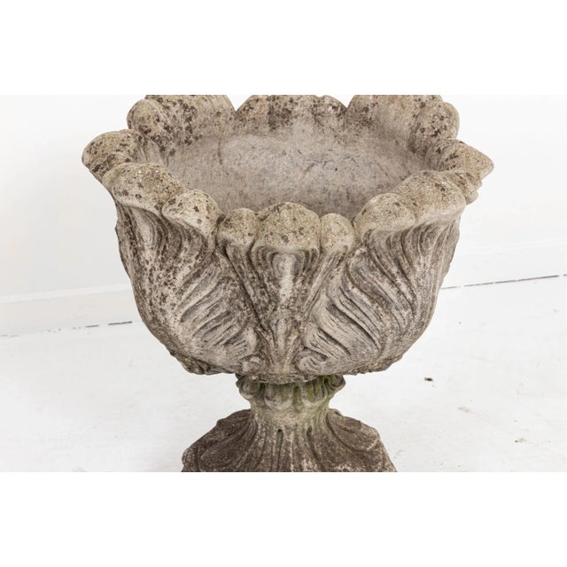 Stone Acanthus Concrete Leaf Planter For Sale - Image 7 of 10