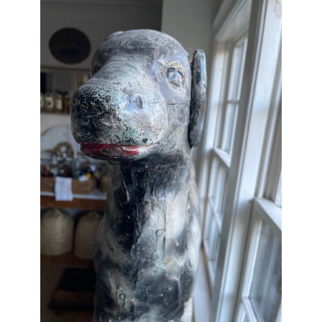 Antique French Carousel Dog, Circa 1890 For Sale - Image 14 of 18