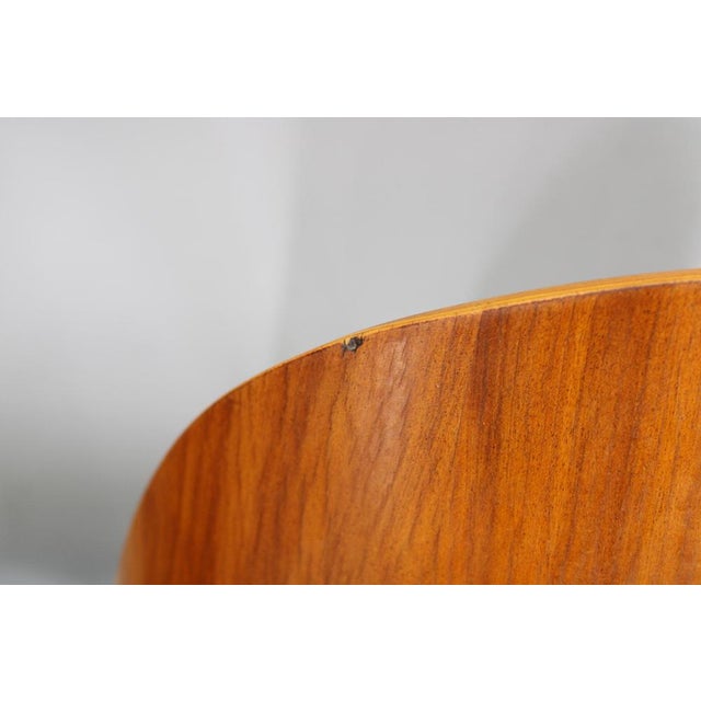 Set of Antonin Suman Chairs in Walnut Finish, 1960s For Sale - Image 15 of 17