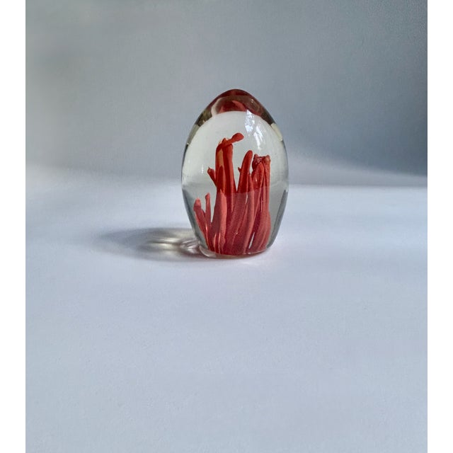 Fulvio Bianconi Fulvio Bianconi Murano Style Coral Paper Weight For Sale - Image 4 of 17