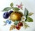 Ceramic Pair 19th Century Meissen Hand-Painted Fruit Cabinet Plates Gilt Scalloped Edges For Sale - Image 7 of 11