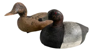 Two Antique Hunting Decoys One-Eyed Jack & Black & Silver Canvas Back