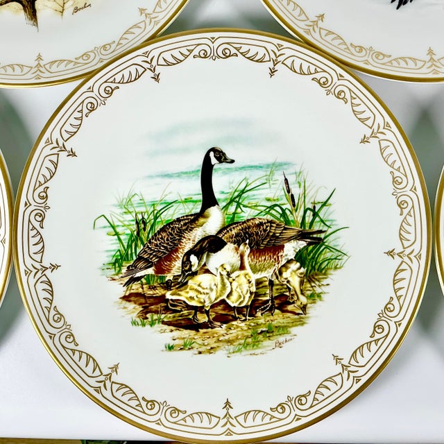1980 Vintage Arts & Crafts English Bone China Water Fowl Birds Dinner Plates -Set of 8, Thanksgiving For Sale - Image 13 of 18
