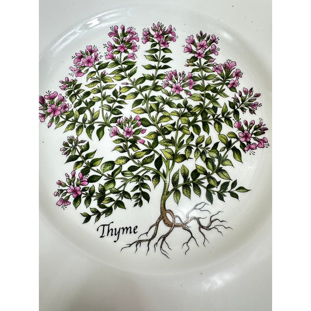 Vintage Tiffany Herbs Plates For Sale - Image 10 of 12