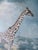 Impressionist Signed and Numbered Peter Darro "Masailand" Lithograph of Giraffes on the Savanna For Sale - Image 3 of 10