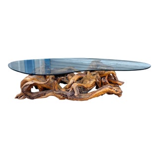 1960s Mid-Century Modern Driftwood Coffee Table With Freeform Glass Top For Sale