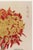 Japanese Asian Red Mum by Hasegawa, Vintage Japanese Botanical Art Print, 20" X 30" For Sale - Image 3 of 9