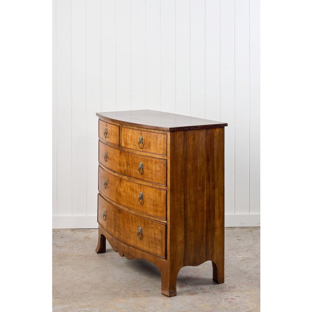 English 19th Century Mahogany Chest With Lion Head Pulls For Sale - Image 3 of 14
