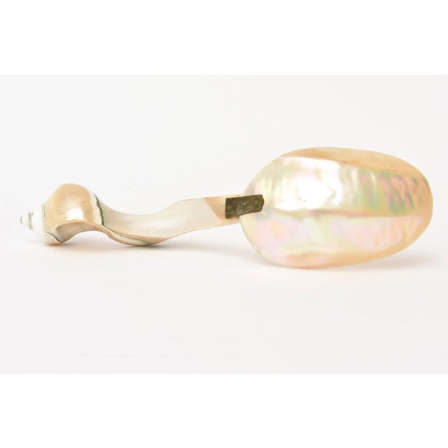 Vintage Organic Mother-of-Pearl Sculptural Serving Spoon For Sale - Image 4 of 11