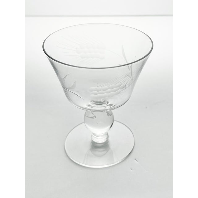 1950s 1950s Vintage Mid-Century Set of 7 Etched Wheat Coupe Champagne Glasses For Sale - Image 5 of 7