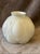 3.5" wide 4.5" tall This lovely shade features a classic bulbous shape with a distinctive embossed petal design that...