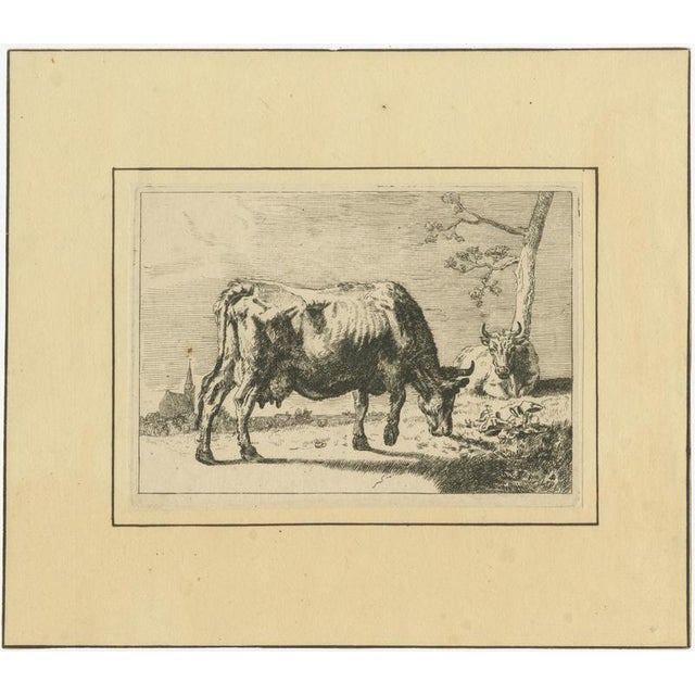 After Paulus Potter, Cattle, 1650, Set of 8 For Sale - Image 9 of 12
