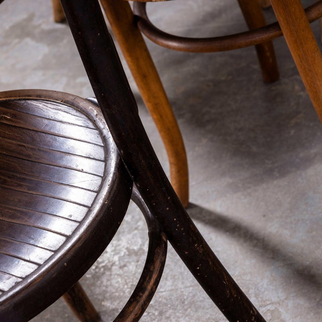 Bentwood Debrecen Panel Back Dining Chair, 1940s For Sale - Image 12 of 18