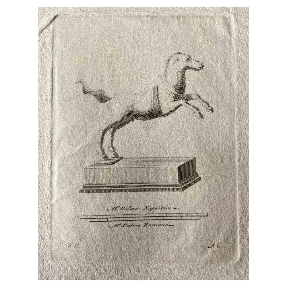 Unknown, Animal Figures from Ancient Rome, Original Etching, 1750s ...