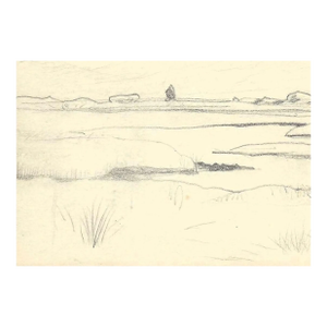 Robert Angeloch Coastal Marsh Landscape Drawing