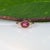 2020s 3.2ct Star Ruby Cabochon Ring With Earth-Mined Diamond Accents in Solid 14k Gold, Size 6.75 For Sale - Image 5 of 9