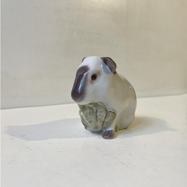 Guinea Pig Figurine in Glazed Porcelain from Bing & Grondahl, 1970s For Sale - Image 3 of 8