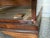 Early 19th Century Mahogany Bowfront Dresser/Chest For Sale - Image 9 of 12