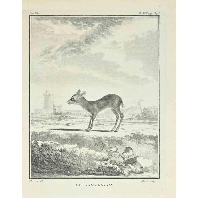 Jacques Baron, Le Chevrotain, Etching, 1771 For Sale