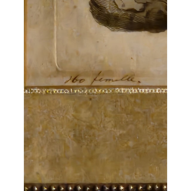 18th Century Set of Three Duck Engraving Prints From the Nederlandsche Vogelen (Dutch Birds) For Sale In Denver - Image 6 of 12