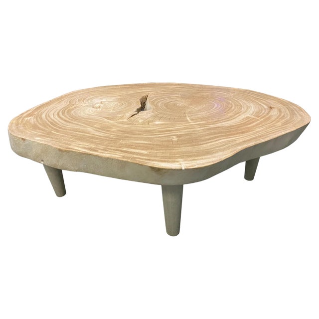 Andrianna Shamaris Amorphous Single Slab Mid-Century Modern Style Coffee Table For Sale In New York - Image 6 of 18