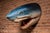 Mid 20th Century Oversized Hand-Painted Great White Shark Head Wall Mount For Sale - Image 5 of 8