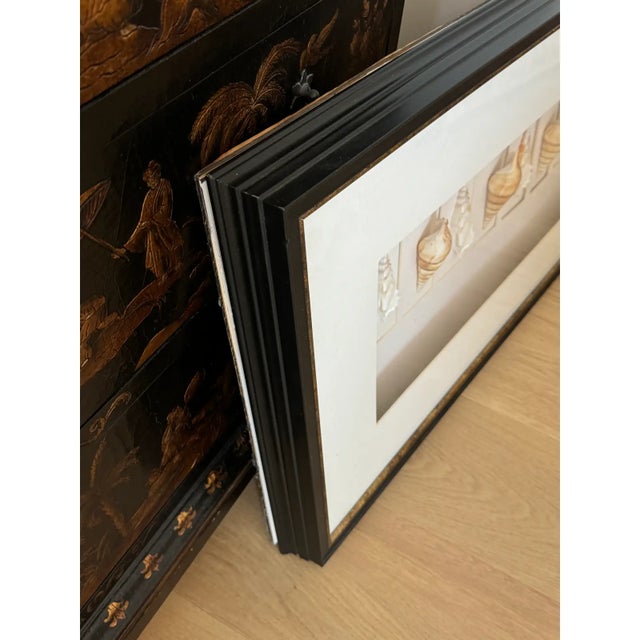 Large Black Framed Shell Shadow Box Picture From Barclay Butera For Sale - Image 11 of 11