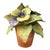 Green Italian Ceramic Potted Flowers for Bergdorf Goodman For Sale - Image 8 of 8