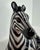 Glazed Ceramic Zebra Sculpture, Bassano, 2000s For Sale - Image 6 of 10