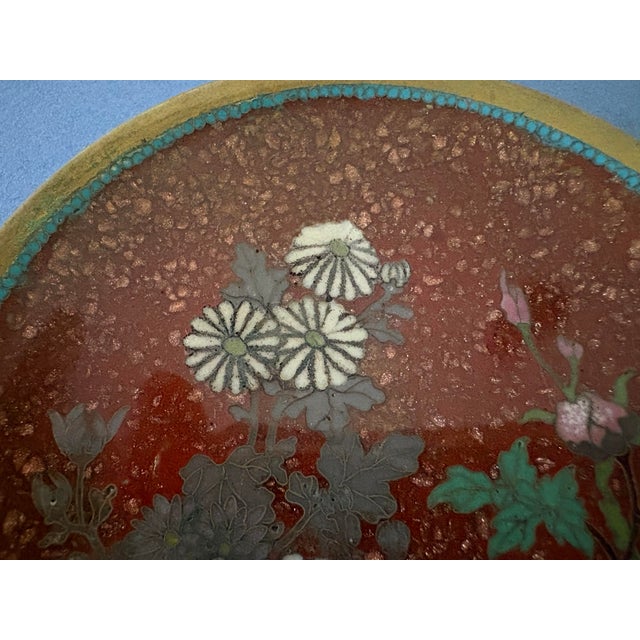 Antique Cloisonné Dish For Sale In Tampa - Image 6 of 6