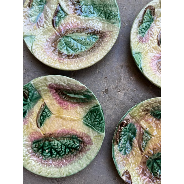 French Majolica Begonia Leaf Plates, S/4 For Sale - Image 3 of 3
