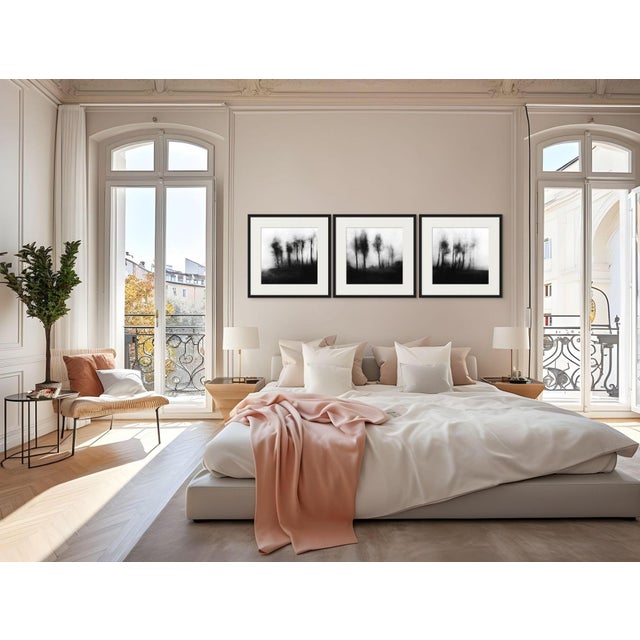 20" X 20" 'Blurred Landscape' #5 Framed Original Black and White Photography For Sale - Image 6 of 6