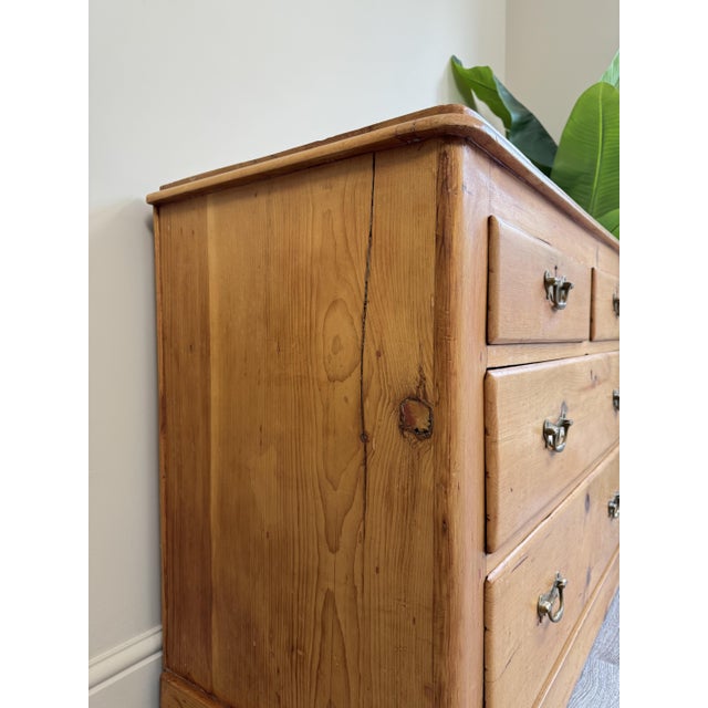 Rustic Antique Pine Dovetail Chest of Drawers, 1890s For Sale - Image 3 of 13
