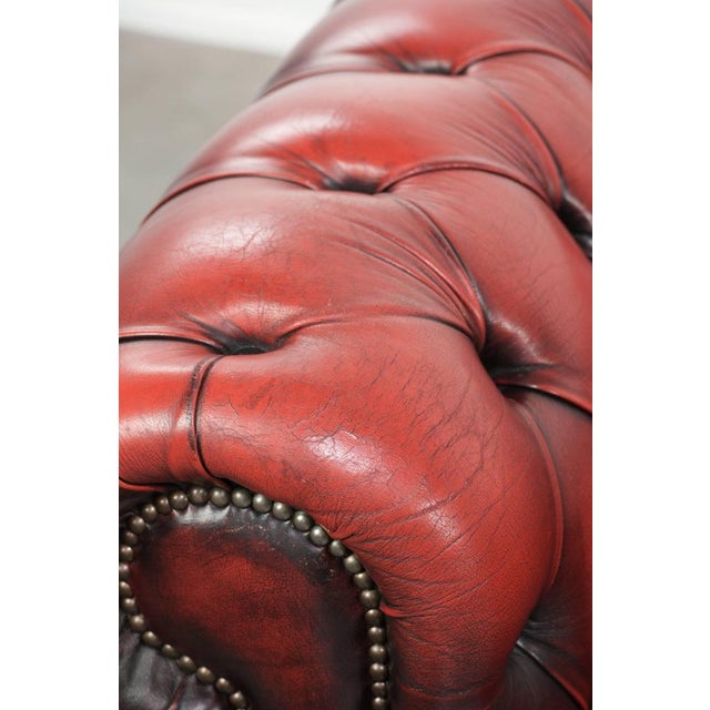 English Chesterfield Sofa in Cow Leather For Sale - Image 11 of 16
