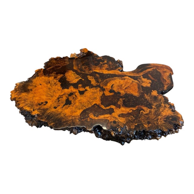 Striking organic burl wood coffee table featuring a dramatic freeform live edge top with richly figured golden-brown...