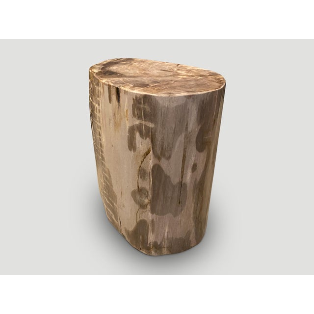 Andrianna Shamaris Large Ancient Petrified Wood Side Table For Sale - Image 9 of 18