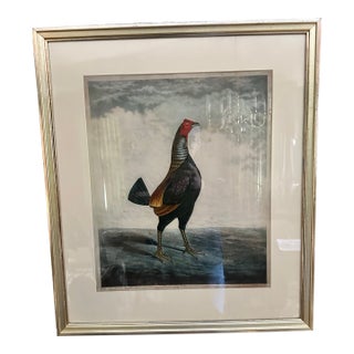Mid 20th Century Traditional Chicken Wall Art in Silver Frame – Ornithology Print Reproduction For Sale