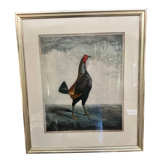Mid 20th Century Traditional Chicken Wall Art in Silver Frame – Ornithology Print Reproduction For Sale