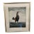 Mid 20th Century Traditional Chicken Wall Art in Silver Frame – Ornithology Print Reproduction For Sale