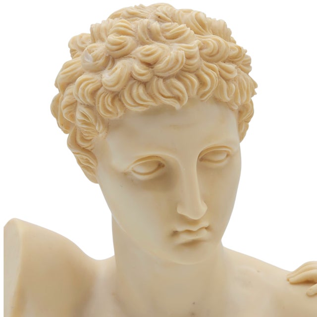 Mid 20th Century Italian G. Ruggeri Hermes & Dionysos Classical Bust Sculpture – Greek Revival Décor For Sale - Image 5 of 9